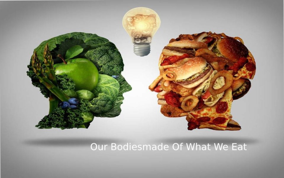Our Bodies made Of What We Eat