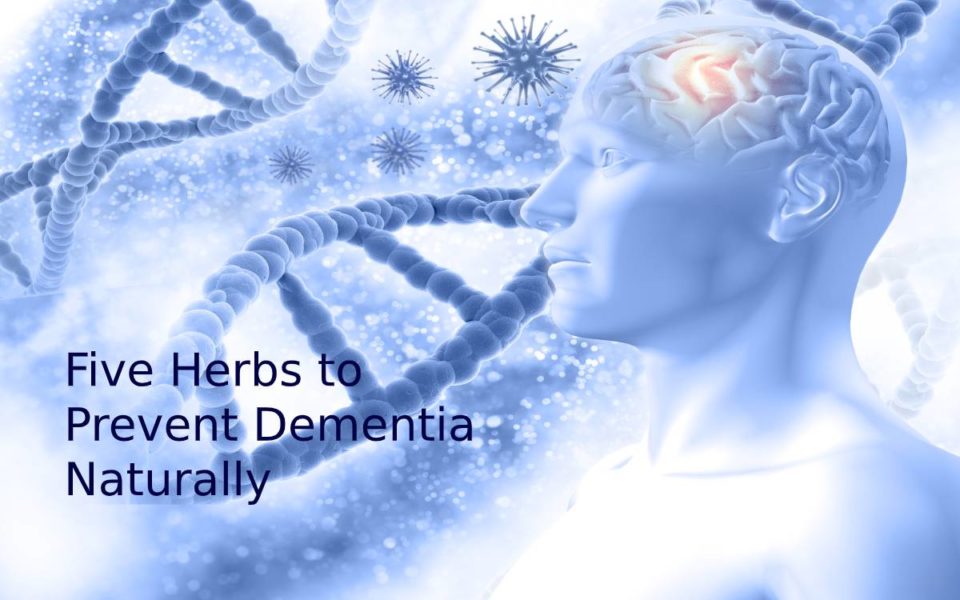 Five Herbs to Prevent Dementia