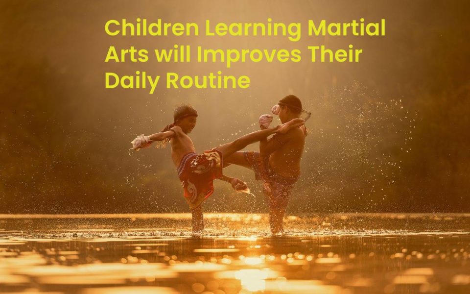 Children Learning Martial Arts will Improves Their Daily Routine