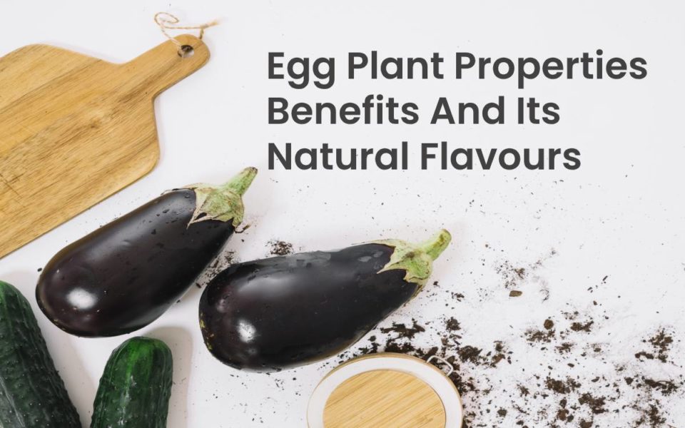 Egg Plant properties benefits And Its Natural Flavours