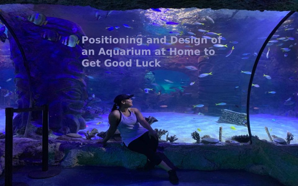 Positioning and Design of an Aquarium at Home to Get Good Luck