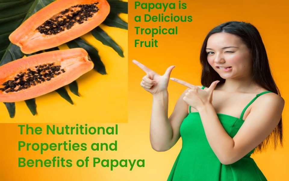 The Nutritional Properties and Benefits of Papaya