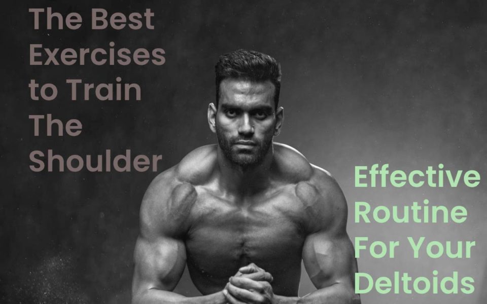 The best exercises For shoulder and Effective routine for your deltoids