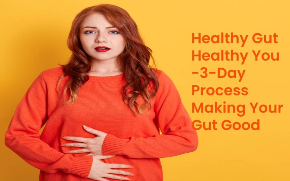 Healthy Gut Healthy You -3-Day Process Making Your Gut Good