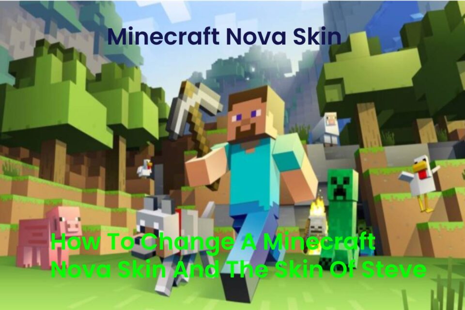 Minecraft Nova Skin