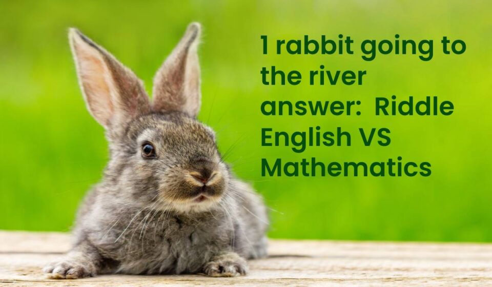 1 rabbit going to the river answer