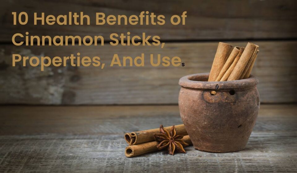 10 Health Benefits of Cinnamon Sticks, Properties, And Uses