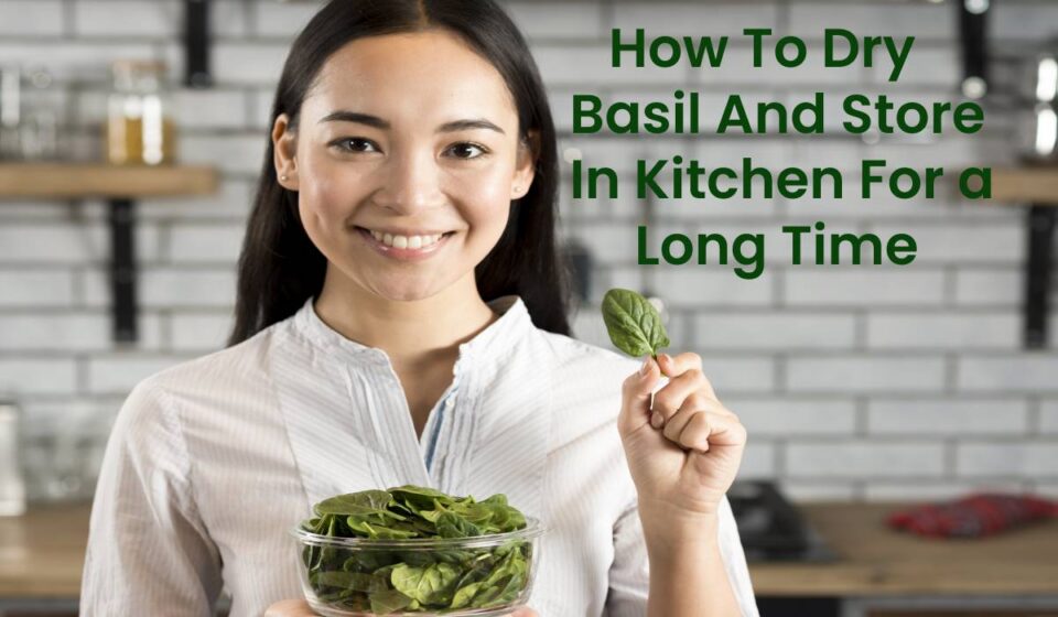 How to dry basil