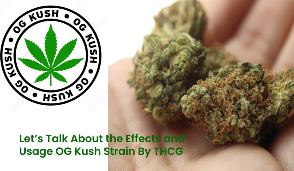 Effects and Usage OG Kush Strain By THCG